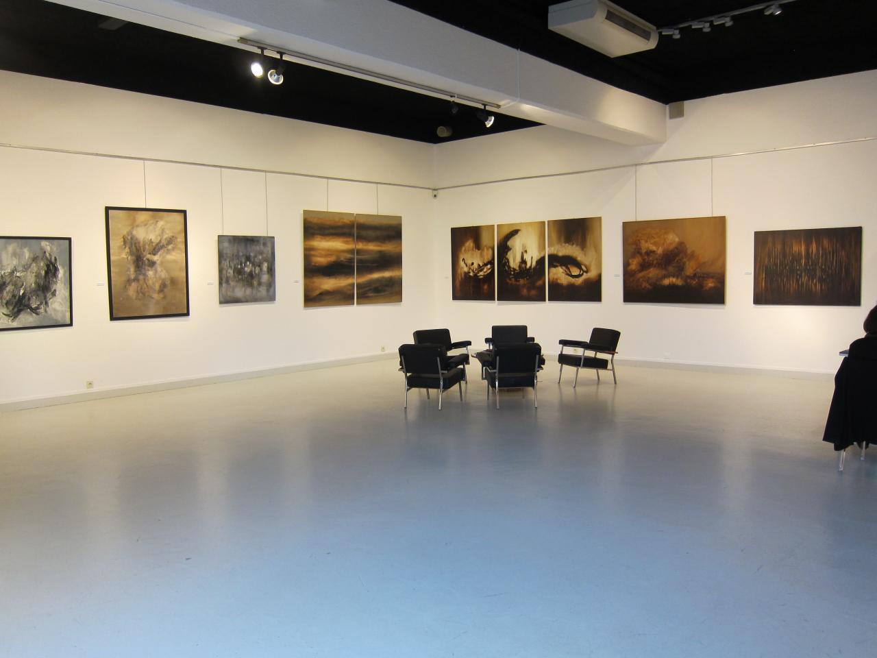Galerie Municipale d'Art Contemporain, AMAC, Chamalières (63) - 2016
